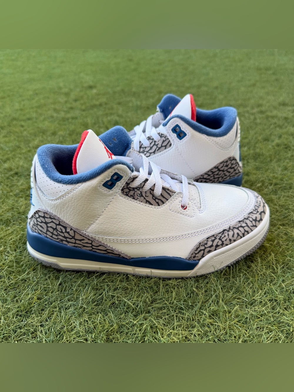 Air Jordan 3 Retro